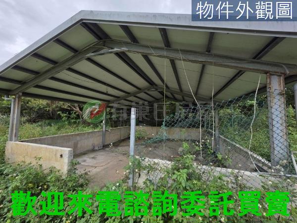 新北三芝農地-10