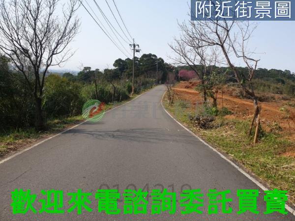 新北農地-0