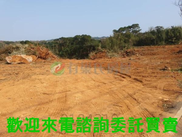 新北農地-4