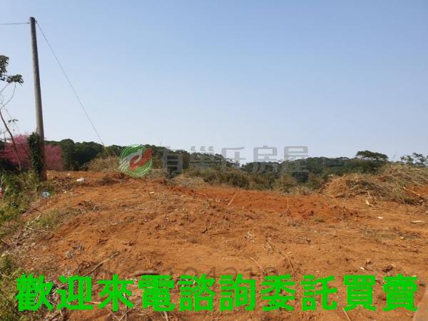 新北農地-5