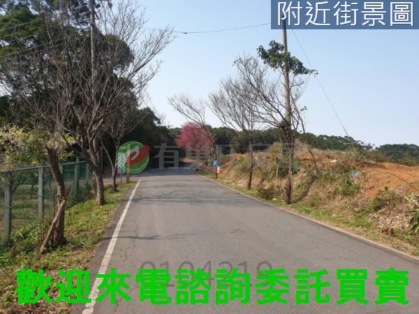新北農地-7