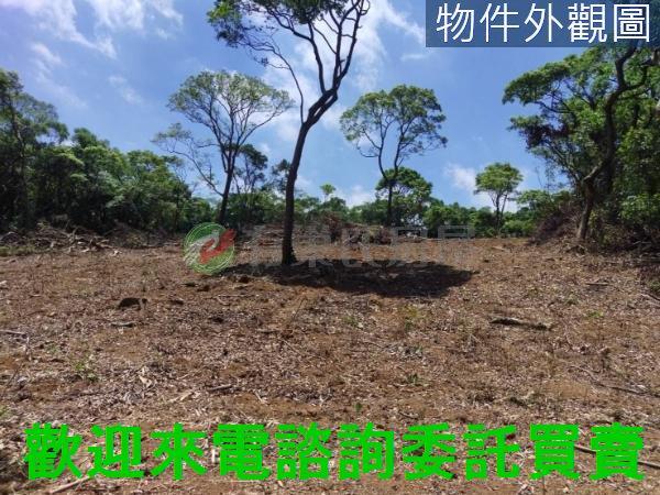 新北農地-0