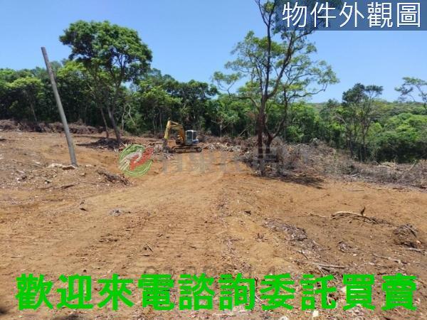 新北農地-1