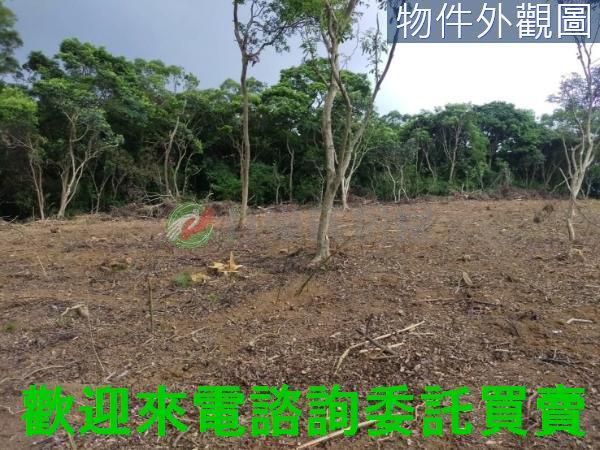 新北農地-2