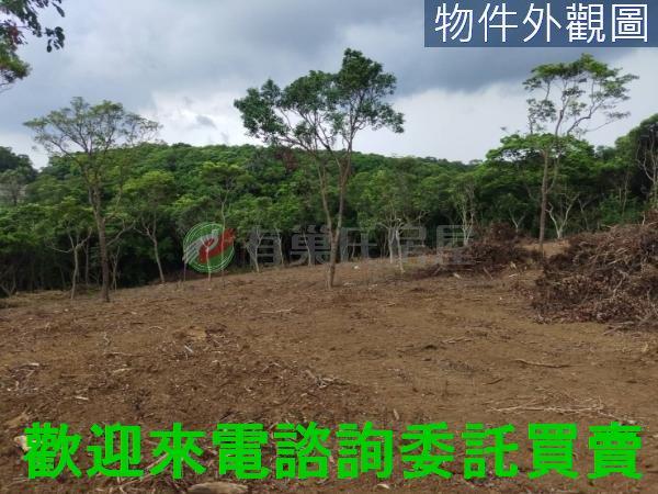 新北農地-5